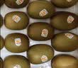 佳沛（zespri）金奇异果25-27粒原箱特大果124-146g猕猴桃水果礼盒 实拍图