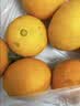 元珍鲜诚源头直发鲜采赣南脐橙当季新鲜橙子生鲜水果年货节日送礼 含箱10斤净重9斤（单果150-350g）优选果 实拍图