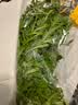 蒿子杆300g(茼蒿） 实拍图