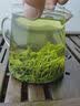 御恒春日照绿茶2026新茶春茶散装袋装茶叶特级浓香型板栗香特产绿茶 500g送赠品6选一 实拍图
