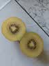 佳沛（zespri）新西兰金奇异果22粒巨大原箱146-175g猕猴桃水果礼盒 实拍图
