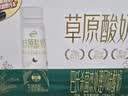 伊利草原酸奶巴氏杀菌原味酸奶230g*10瓶/箱  礼盒装 实拍图