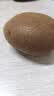 佳沛（zespri）新西兰 金奇异果特大果15粒134-146g猕猴桃水果礼盒 实拍图