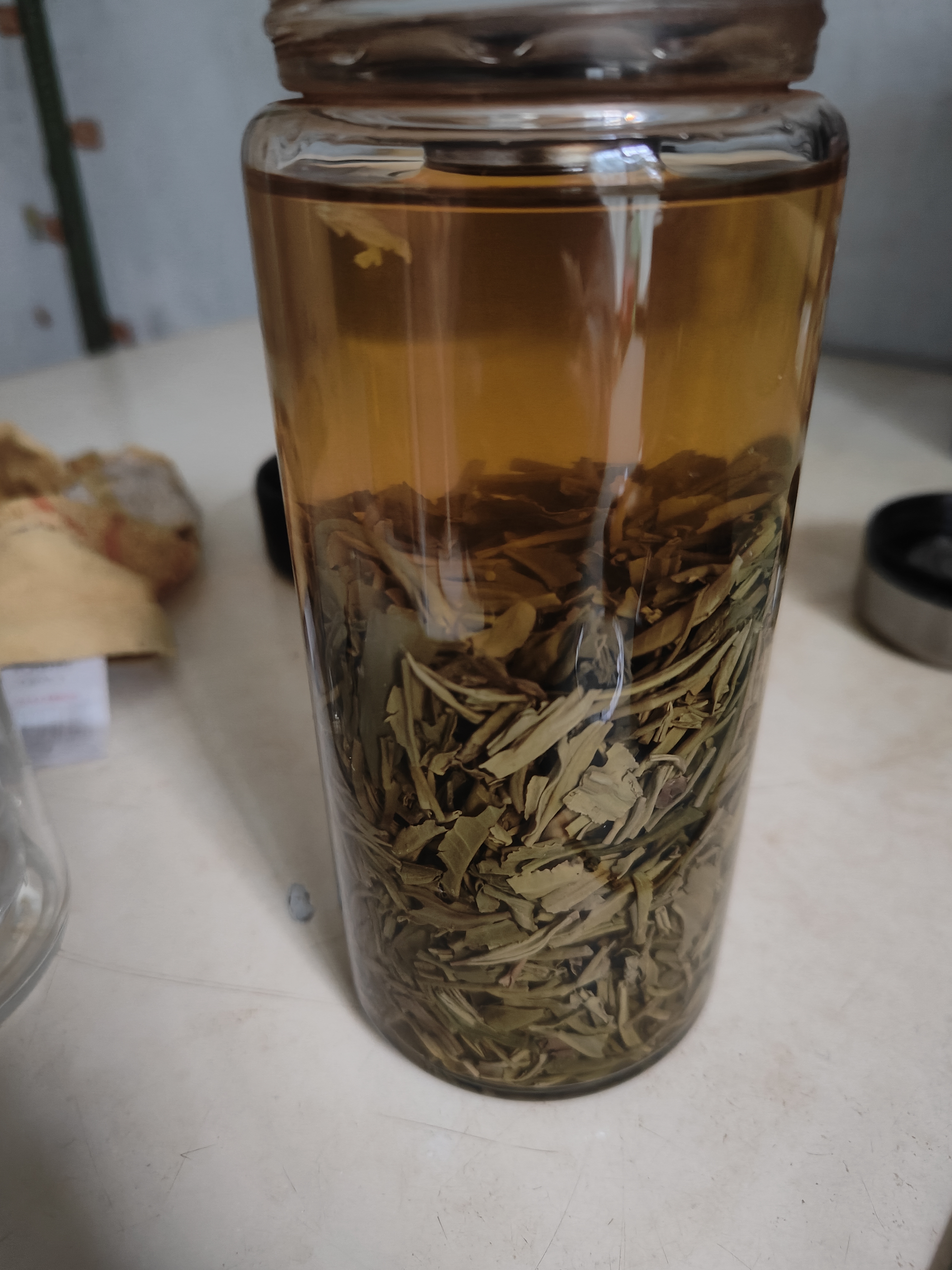 京东京造茉莉花茶茉莉映雪250g纸包飘雪春茶茶叶绿茶自己喝性价比 实拍图