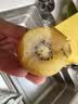 佳沛（zespri）新西兰金奇异果猕猴桃 5粒装 单果约88-103g 水果源头直发 实拍图