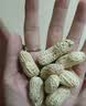 三只松鼠龙岩花生400g/袋 坚果炒货办公室宿舍休闲零食聚会特产小吃 实拍图