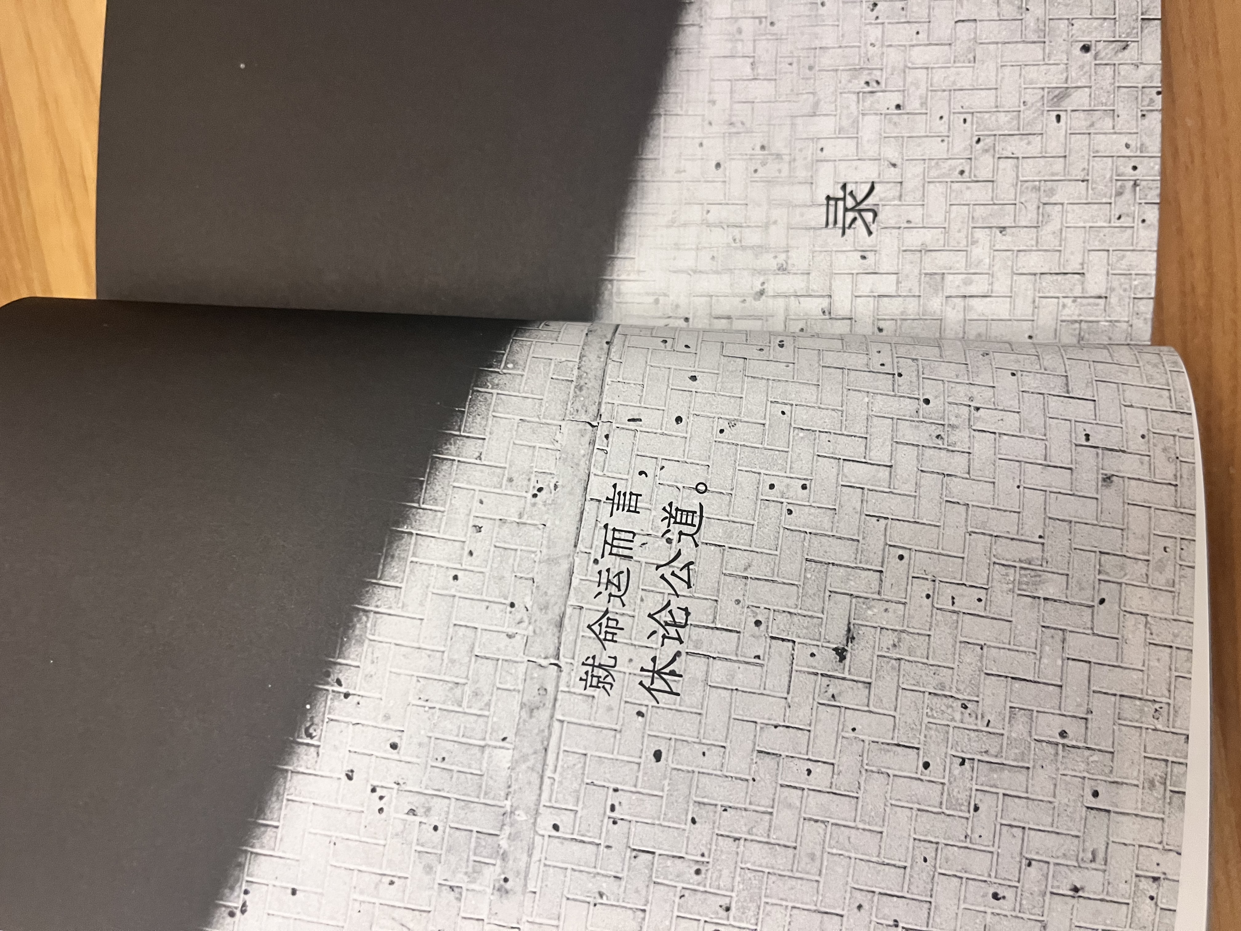 史铁生 总有路在等你（史铁生等名家的人生悲喜书，不知道命运是什么，才知道什么是命运）  中南传媒 实拍图