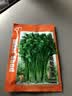ldeal理想农业 香菜种子老品种大叶耐寒耐抽薹四季种芫荽种籽 约1300粒 实拍图