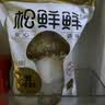 松鲜鲜 松茸调味料1kg【减钠29% 0添加】可代替盐鸡精味精煲汤炒菜调味 实拍图
