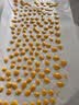COOKSS 婴儿辅食模具一次性裱花袋裱花嘴宝宝辅食工具挤奶油袋烘焙全套 实拍图