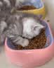 网易严选全价猫粮4.0成幼猫三文鱼亮毛养胃深海鱼虾1.8kg*4袋【宠物金选】 实拍图