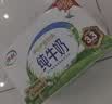 伊利全脂纯牛奶 250ml*18盒 每100ml含3.3g蛋白质 礼盒装 实拍图