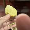 佳沛（zespri）新西兰金奇异果10粒巨大果146-175g猕猴桃水果礼盒 实拍图