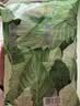 家得宝（homebaby）蚕丝蛋白拉拉裤经典装 3XL码56片尿不湿夏季超薄 实拍图