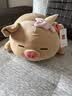 名创优品（MINISO）小猪B-BO黑皮甜筒小猪玩偶抱枕床上陪睡公仔宿舍生日礼物送女生 实拍图