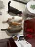 皇家猫粮 成猫猫粮 去毛球 IH34 通用粮 12月以上 4.5KG 实拍图