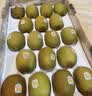 佳沛（zespri）新西兰金奇异果18粒超大原箱175-204g猕猴桃水果礼盒 实拍图