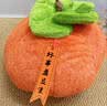 范爷家创意柿子抱枕毛绒沙发腰靠垫柿柿如意午休枕生日礼物重阳节礼物 实拍图