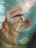 网易严选宠爱相伴全价猫粮 实惠宠物主粮成幼猫爱心公益 美毛护肠胃 1.8kg 实拍图