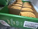 佳沛（zespri）新西兰金奇异果10粒巨大果146-175g猕猴桃水果礼盒 实拍图