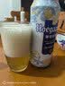 福佳白啤酒500ml*18罐整箱装金奖小麦精酿百威集团京东自营 实拍图