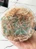 方家铺子六星淡干虾皮120g 无盐无添加儿童可打虾粉 虾米海米仁蛋花紫菜汤 实拍图