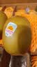 佳沛（zespri）新西兰金奇异果22粒巨大原箱146-175g猕猴桃水果礼盒 实拍图