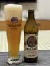 保拉纳（Paulaner）【20万人已购】柏龙 精酿白啤 500ml*20瓶  球赛必备 实拍图