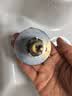 家韵全铜洗脸盆漏水塞防臭防虫防堵洗手盆下水器弹跳芯按压式通用配件 实拍图