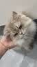海洋之星烘焙猫粮冰川三文鱼猫粮 幼猫成猫美毛 布偶蓝猫全价鲜肉粮1.5kg 实拍图