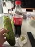 京鲜生 山东童年旱黄瓜 净重5斤 单果100g+ 水果小青瓜 轻食 源头直发 实拍图
