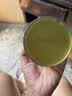 乐品乐茶茉莉花茶浓香横县特级春茶2026新茶碧螺春茶叶250g伴手礼送长辈 实拍图