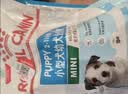 皇家狗粮 幼犬狗粮 宠物 小型犬 MIJ31 全价犬粮 2-10月 2KG 实拍图