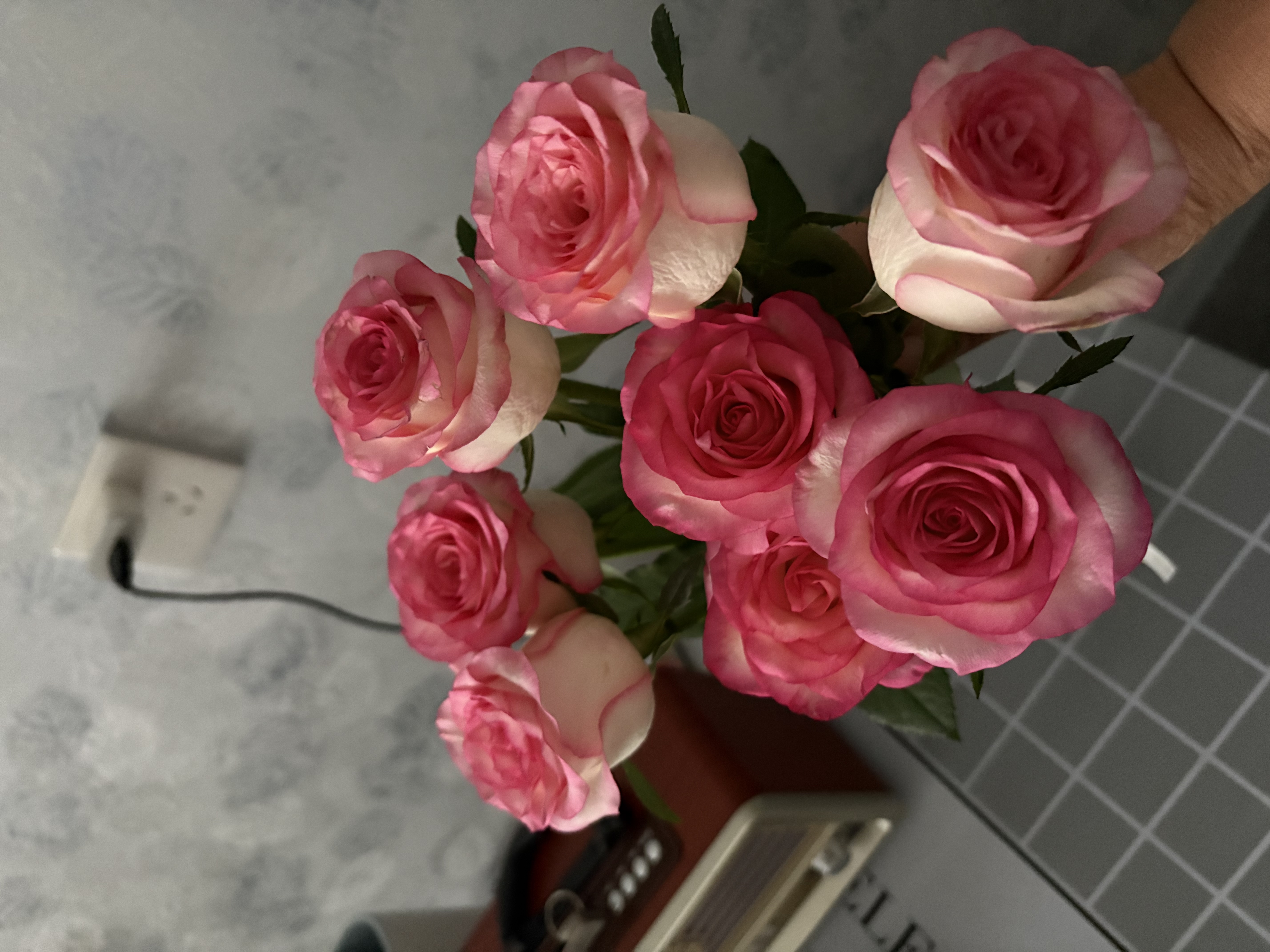 云南基地直发玫瑰鲜花全国速递配女友生日礼物家用水养插京东快递 艾莎玫瑰(16支+4支防损耗)+送保鲜剂 实拍图