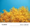 松下【会员旗舰】Lumix G97 M43画幅相机 M43卡口 微单相机 无反数码相机 G97丨12-60mmF3.5-5.6 变焦套装 实拍图