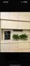 奥克斯（AUX）UV紫外杀菌大动力自吸无水箱【可连接桶装水】全通量适配速热挂壁饮水机管线机YGX-2203W 实拍图