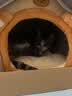 领先成猫尝鲜礼包主食级烘焙猫粮猫条餐盒汤包（新老款随机发货） 实拍图