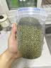 十月稻田 绿豆 500g 一级 低脂粗粮 东北杂粮 绿豆汤 可发豆芽 豆浆豆 实拍图