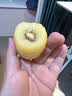 佳沛（zespri）新西兰金奇异果22粒巨大原箱146-175g猕猴桃水果礼盒 实拍图