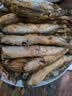 海赋国产 满籽多春鱼净重3斤 大号满籽 烧烤煎炸食材-源头直发 实拍图