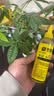 史丹利（STANLEY）水培植物营养液富贵竹专用郁金香水仙花室内盆栽通用型肥料125ml 实拍图