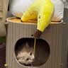 ZEZE香蕉宠物抱枕猫玩具自嗨解闷逗猫棒狗狗玩具耐咬拉扯宠物用品 实拍图