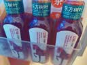 农夫山泉东方树叶红茶500ml*15瓶无糖茶饮料0糖0脂0卡整箱装解渴饮品 实拍图