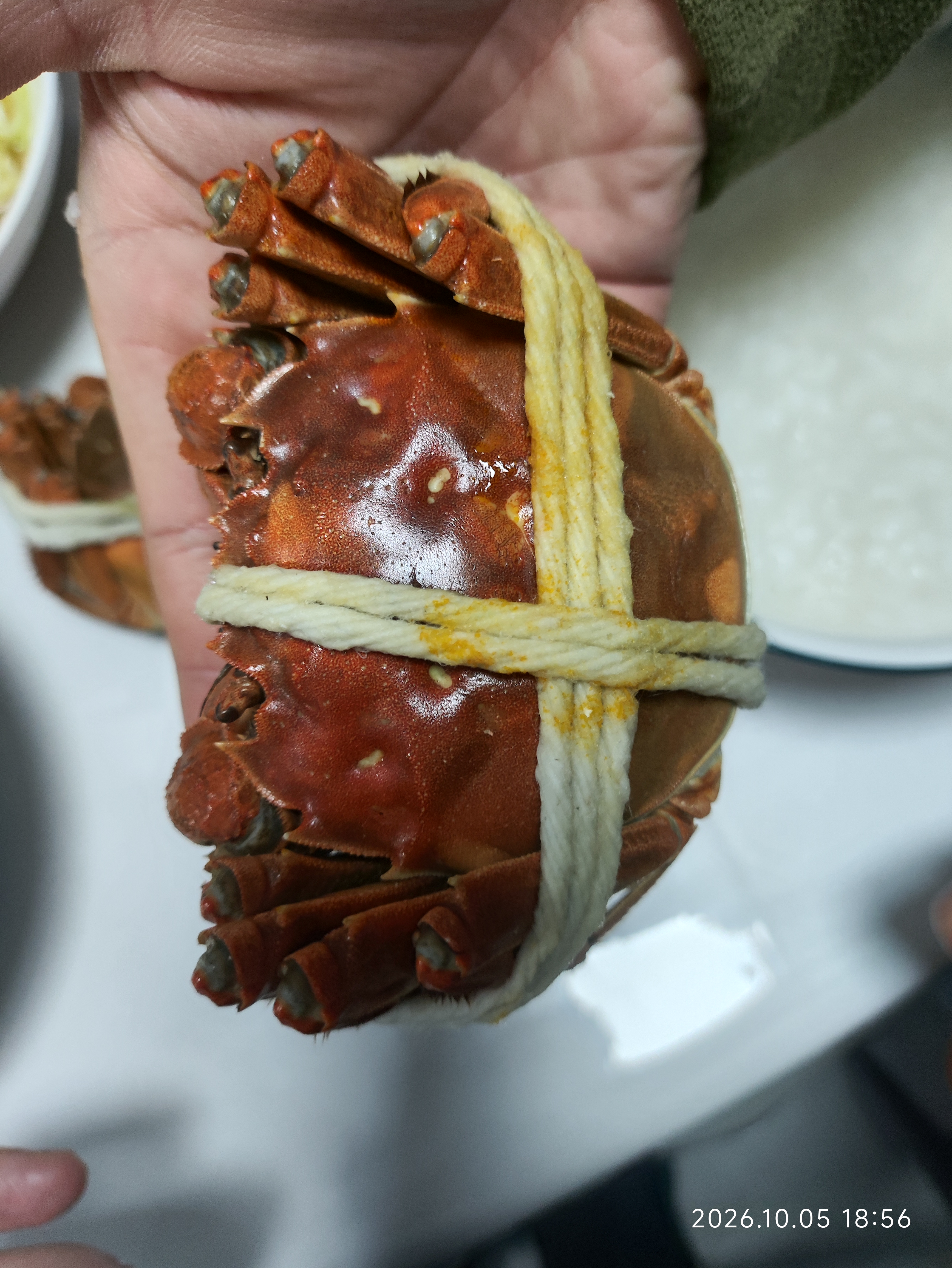 【活蟹】江问鱼 大闸蟹全母2.5两-2.8两 8只装 鲜活螃蟹生鲜礼盒送礼优选去绳足重 实拍图