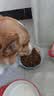伯纳天纯狗粮中大型犬全价成年犬粮17kg羊肉蔓越莓味囤货装 实拍图