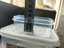 禧天龙冰箱保鲜盒食品级糙米饭分装盒杂粮饭密封盒蔬菜水果冷冻盒 6个 实拍图