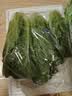 【烧烤季】钟灵山罗马生菜400g 实拍图