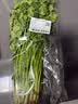 【火锅季】带根香菜100g 实拍图