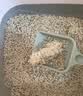 福丸自然空气白茶豆腐膨润土混合猫砂长效除臭 福鼎白茶2kg*6 实拍图