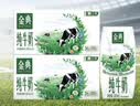 伊利【两箱】金典纯牛奶 200ml*12盒 3.6g蛋白质 礼盒装7月 实拍图